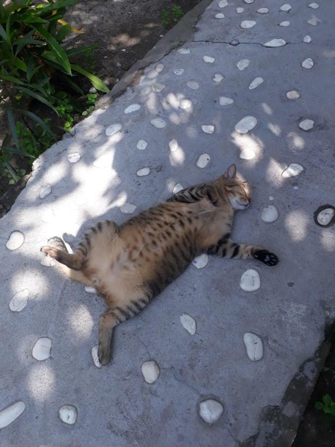 Sagita Bungalow Gili Trawangan Exteriör bild